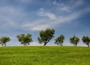 Ambiente, l'accordo globale sul clima spiegato ai bambini