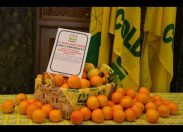 Dalle arance dei Piromalli all’olio di Messina Denaro: la mafia è servita