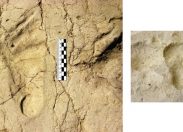 Sapienza: scoperte orme di bambino risalenti a 700 mila anni fa