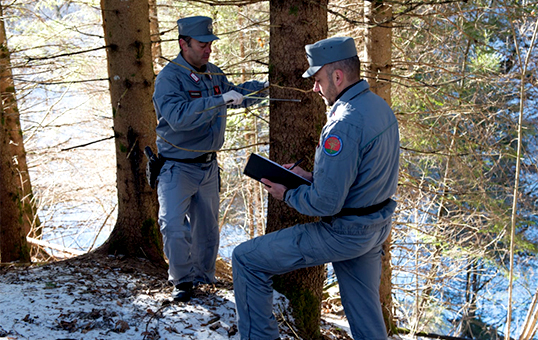 Forestale foto www.carabinieri.it